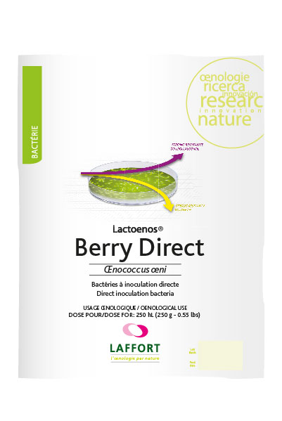 LACTOENOS® BERRY DIRECT